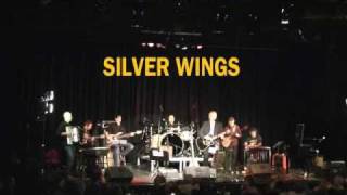 Silver Wings