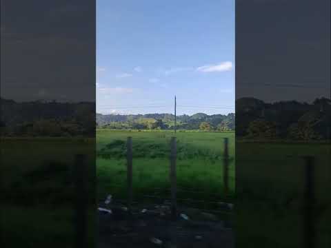 Se un Faro para los demás