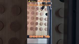 Máy Cắt khắc Laser Gỗ Ironwood giá tốt nhất thị trường 2023