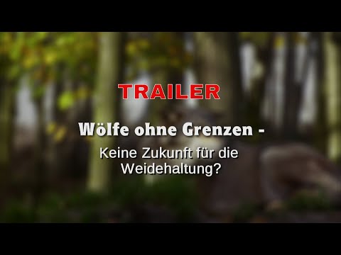 TRAILER Wölfe ohne Grenzen - Keine Zukunft für die Weidehaltung?