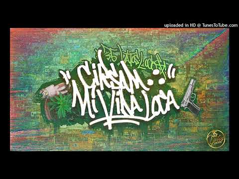 CİRSAM - Mİ VİDA LOCA