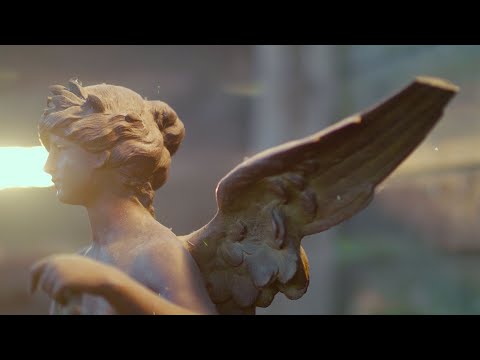 Papa Fral - Warriors [prod. The Eve]