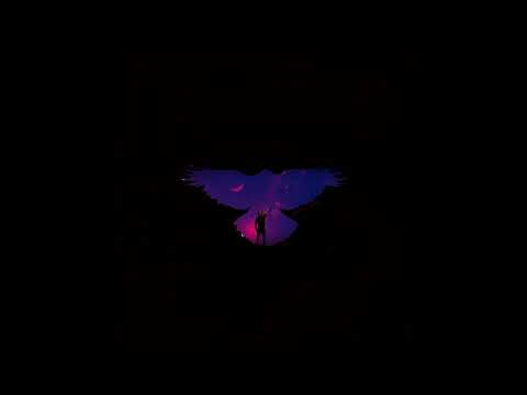 LUSZU OIOM - ASTRONAUTA