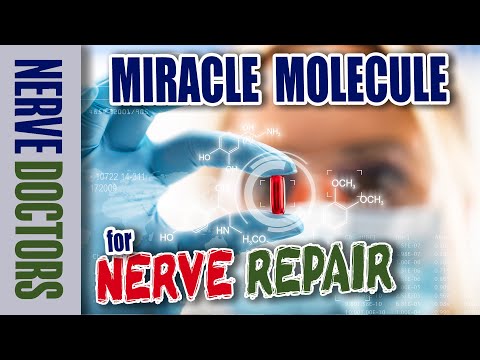 Miracle Molecule for Nerve Repair - The Nerve Doctors