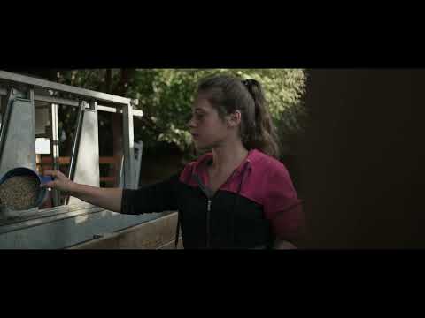 VIDEOOTEC - CESTA MLÉKA (FARMA KLÍNEC)