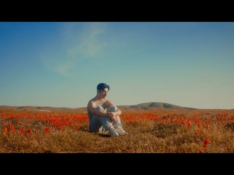 LoveLeo - HEAD OVER HEELS (Sub Español)