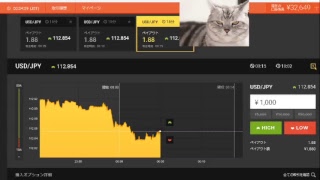 【FX】1万円から始める為替取引【BO】49