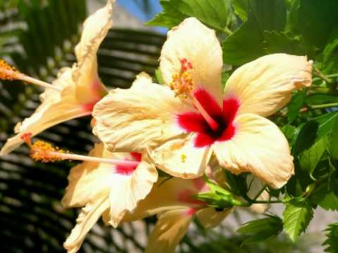 Für Ina zum Geburtstag