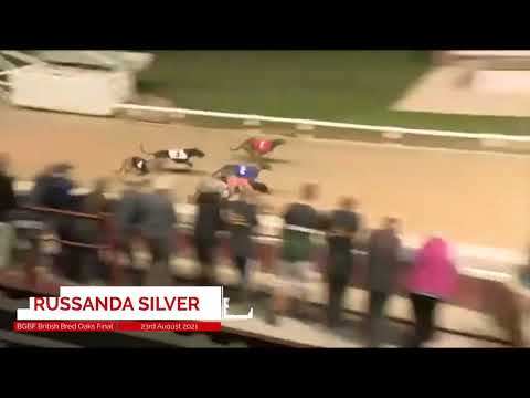 Russanda Silver - BGBF British Bred Oaks Final