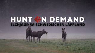 Elchjagd in schwedisch Lappland 🇸🇪 mit  ⁨@hunterbrothersofficial⁩