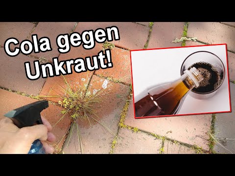 Cola gegen Unkraut - Unkraut  im Garten, im Rasen und aus Fugen mit Cola entfernen