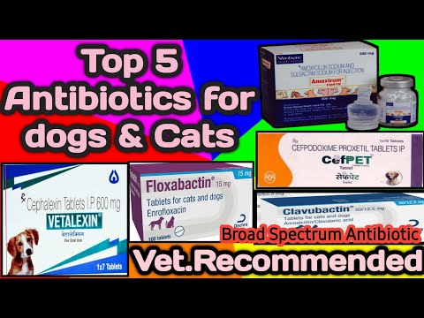 antibiotics for dogs/cats || broad spectrum antibiotics || dogs antibiotic || Vet.Recommended || s.m