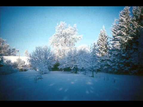 Aleksander Nõlvak - Eestimaa