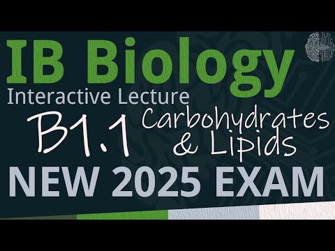 IB Biology B1.1 - Carbohydrates & Lipids [SL/HL] - Interactive Lecture 2025-2033