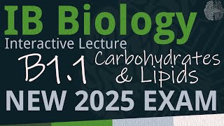 IB Biology B1.1 - Carbohydrates & Lipids [SL/HL] - Interactive Lecture 2025-2033