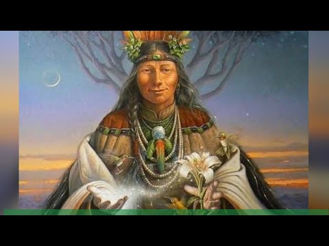 Xamanismo e as Medicinas da Floresta