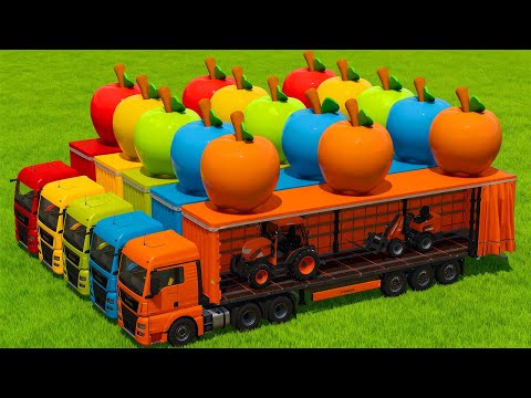 LOAD AND TRANSPORT GIANT APPLES WITH MAN TRUCKS - Farming Simulator 25 🚜🍎