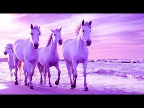 Raise Positive Vibes | 432hz Healing Frequency Music | Deep Zen Meditation | Spiritual Detox