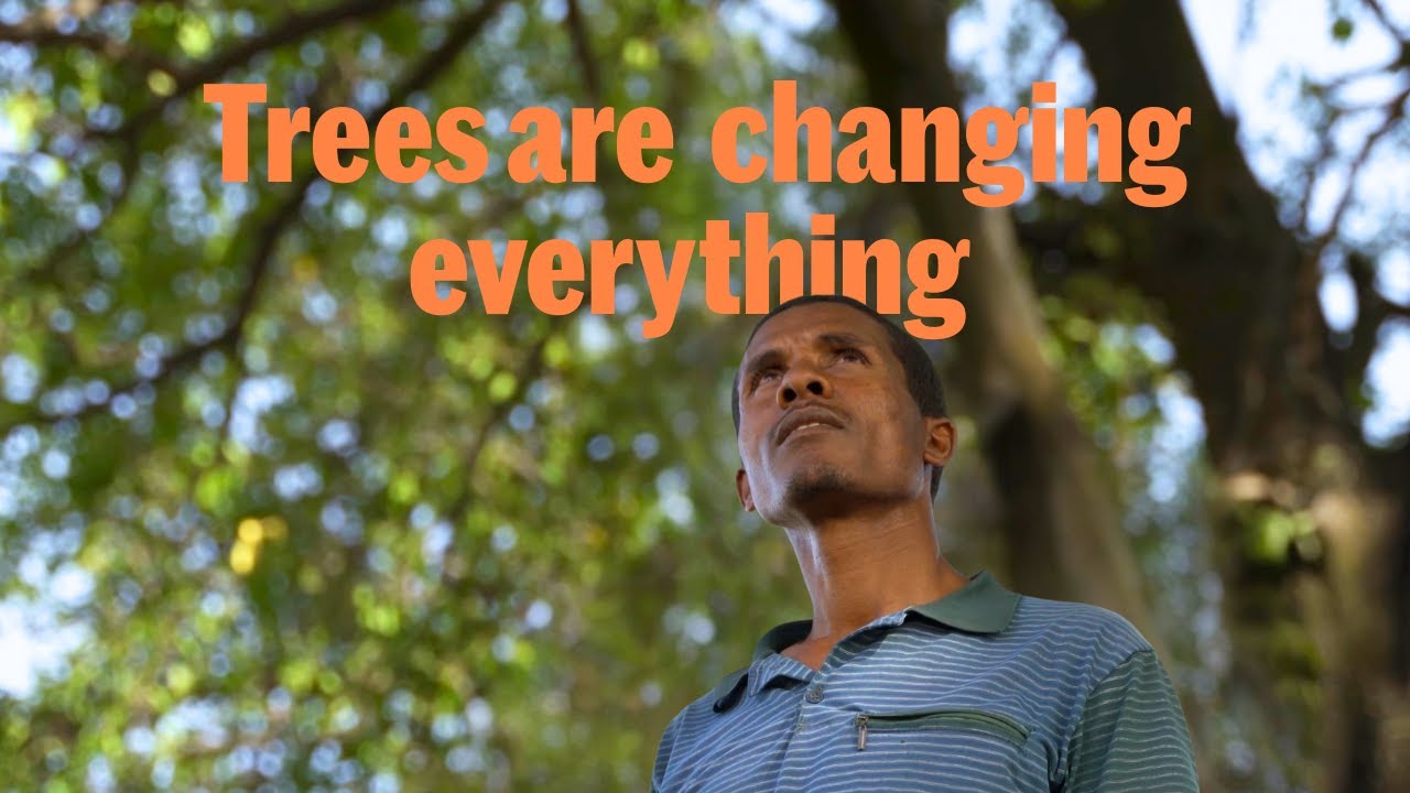 Resilience by Tree Aid