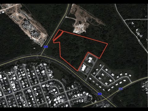 Calvos own and control Northern Market