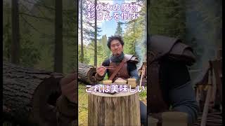 【異世界】杉の木の魔物杉さんを倒してふりかけにしてみた