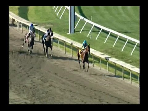 2015 Haskell Invitational Stakes