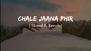 Chale Jaane Phir - Slowed & Reverb [ Humko Tere Bina Jeena Tu Sikha ] Denny X Rahul Mishra