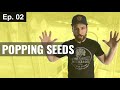 HOW TO GERMINATE SEEDS DIRECTLY IN SOIL Season 3, Episode 2