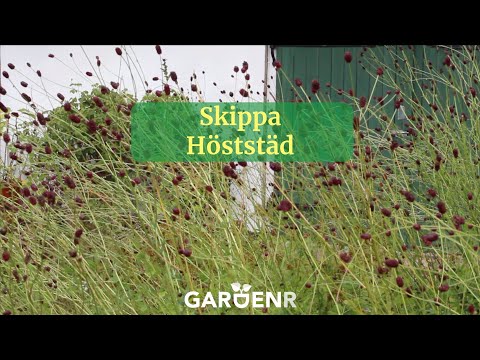 Skippa Höststädningen - Trädgårdshacks med GardenR