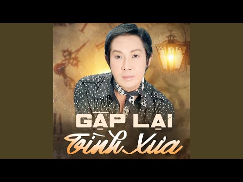 Gặp lại tình xưa (Gặp lại người xưa) - Ngọc Huyền