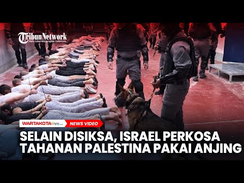 Bukan Hanya Disiksa, Israel Perkosa Tahanan Palestina Pakai Anjing