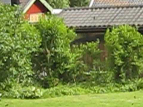 Orienteringsflygning i alla kuporna