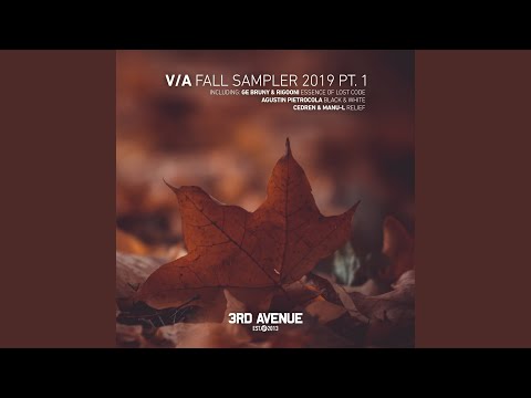 Essence of Lost Code