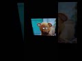 Sesame Street Episode 3684 Ending