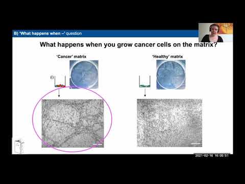 YouTube video