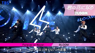 Download lagu 8LOOM 「Forever or Never」 CDTV ライブ!ライブ! Performance Ver.【TBS】 mp3 Download lagu 8LOOM 「Forever or Never」 CDTV ライブ!ライブ! Performance Ver.【TBS】 mp3