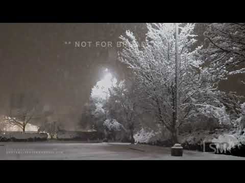 03-06-2023 Williamsport, PA - Heavy Wet Snow Destroys Trees and Power Lines, Spin Outs, Plow Trucks