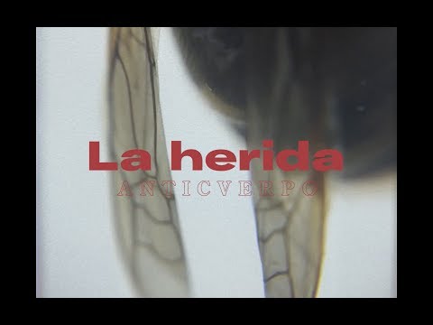 ANTICVERPO - La herida