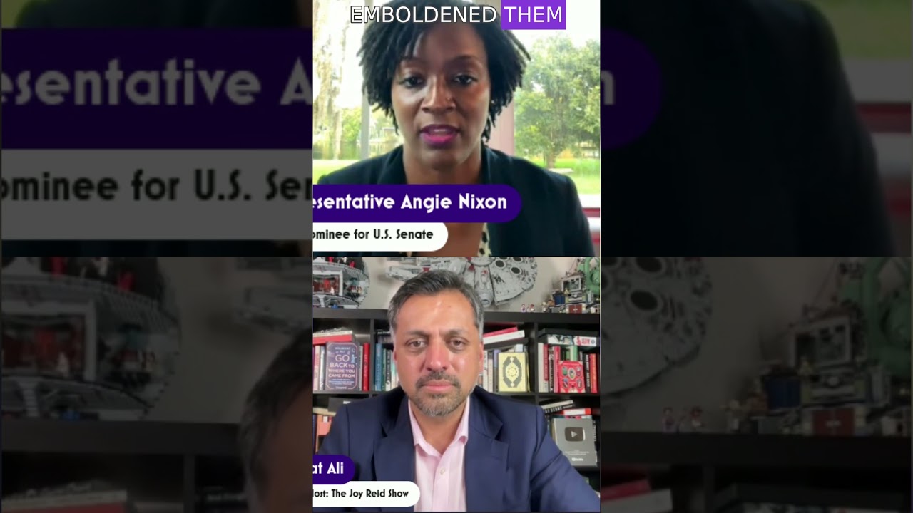 Angie Nixon on DeSantis: “He Struck the Match” | The Joy Reid Show