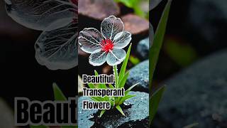 AI Generated Transparent Flowers Ai Leonardoai Beautiful Transparent Flowers From Nostalgia This Is Frictional Flowers Look like Glass Flowers