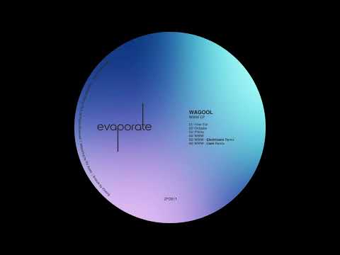 Wagool - WWW (Electricano Remix) [ZFD011]