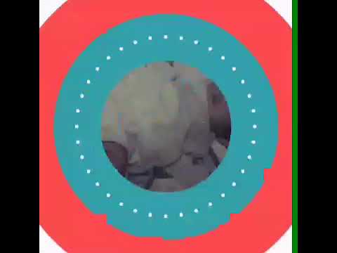 Felicidades yessica♡☆