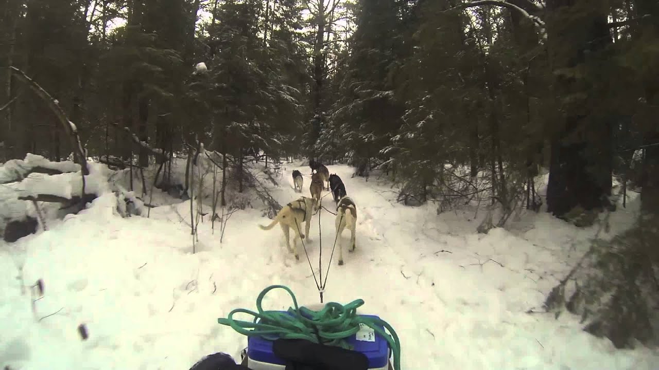 Making Tracks Dogsled Adventure Trek benefiting Victim Services Toronto