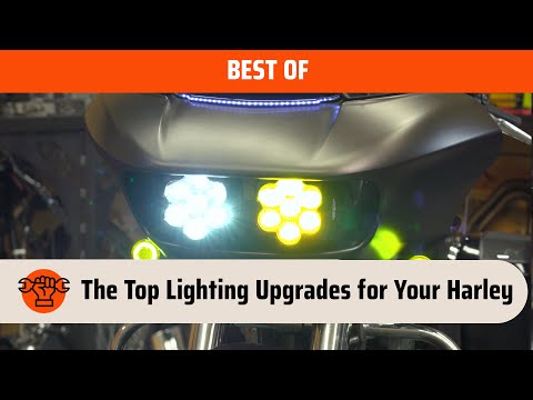 Turning Point エンタングル スカルファイヤー(限定モデル) HogWorkz