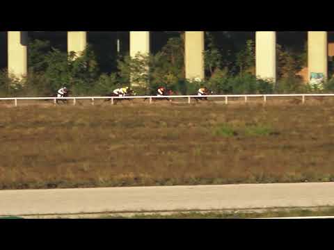 3.10.2021 Trka V - PEHAR HIPODROMA BEOGRAD BRC - Hipodrom Beograd