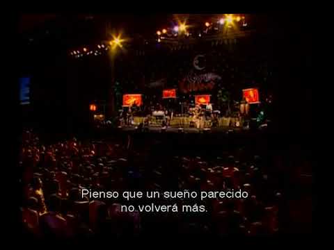 Volare video