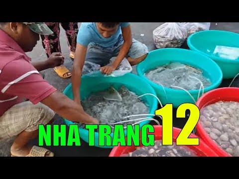 Ăn hải sản TƯƠI biển NHA TRANG nhất định phải ghé ngôi chợ này | Lý hương TV Travel Nha Trang