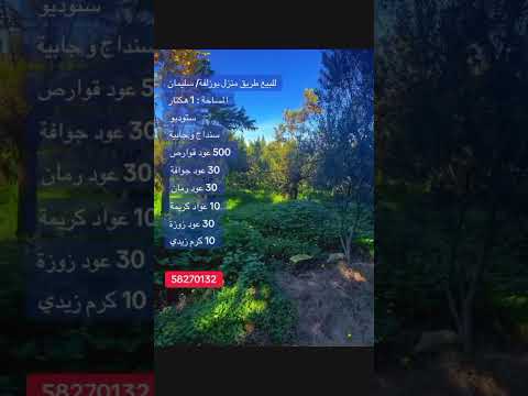 سانية فلاحية للبيع بمنزل بوزلفة / سليمان – 1 هكتار متنوعة ومثمرة