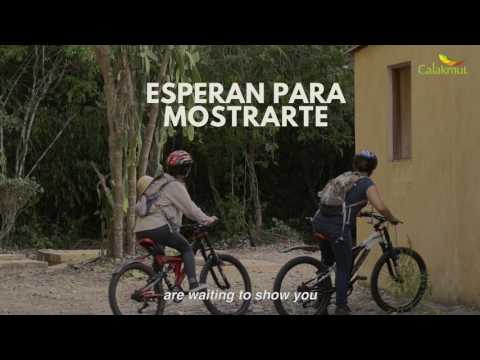 Eugenio Echeverria Castellot II