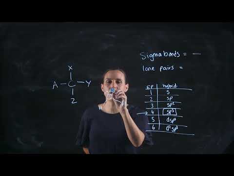Hybridization The Quick Method Lightboard
